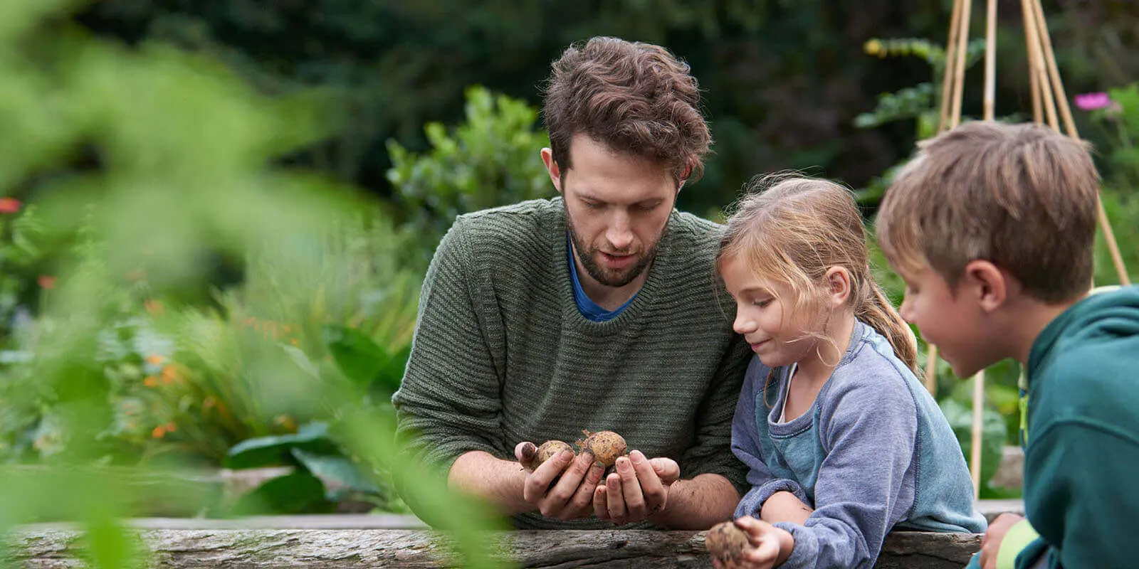 Man counting potatoes with children